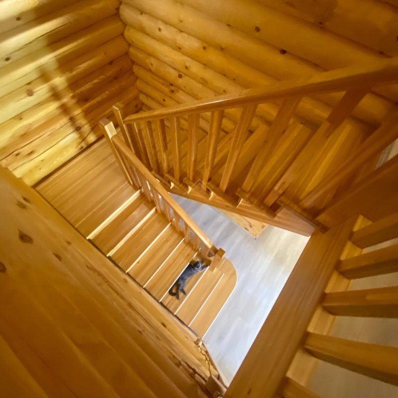 П-образная деревянная лестница из натурального ясеня в срубе